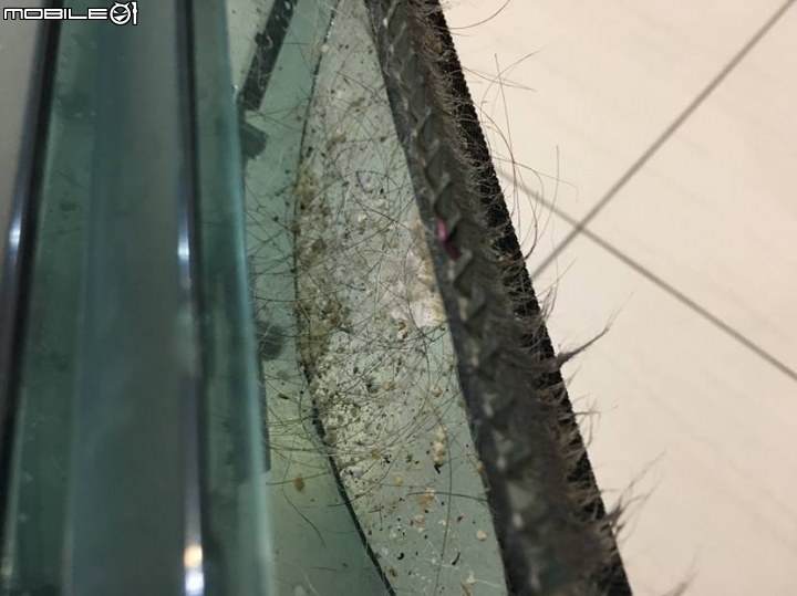 【不專業開箱】懶人至上！掃地G器人拯救寵物主