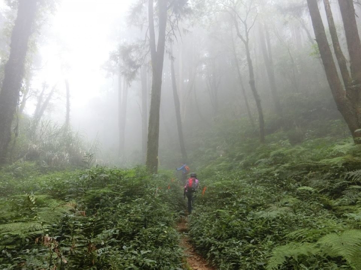 1061023 忘憂森林 金柑樹山 嶺頭山環線縱走