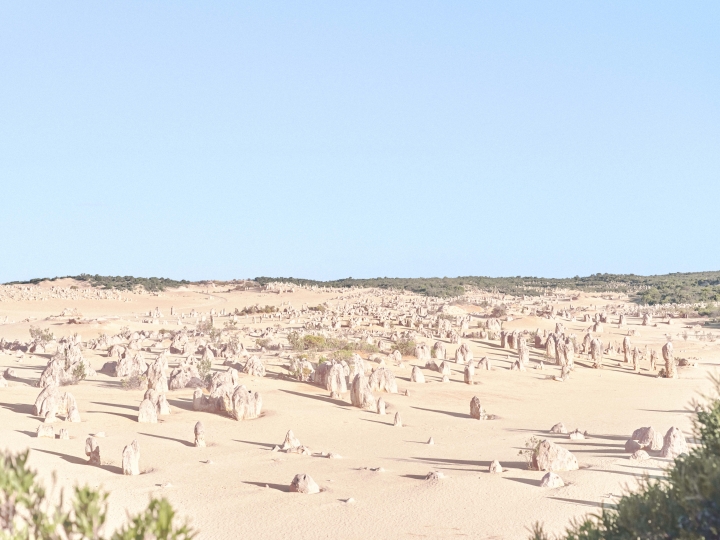 帶著GFX50遊走在西澳的大自由裡