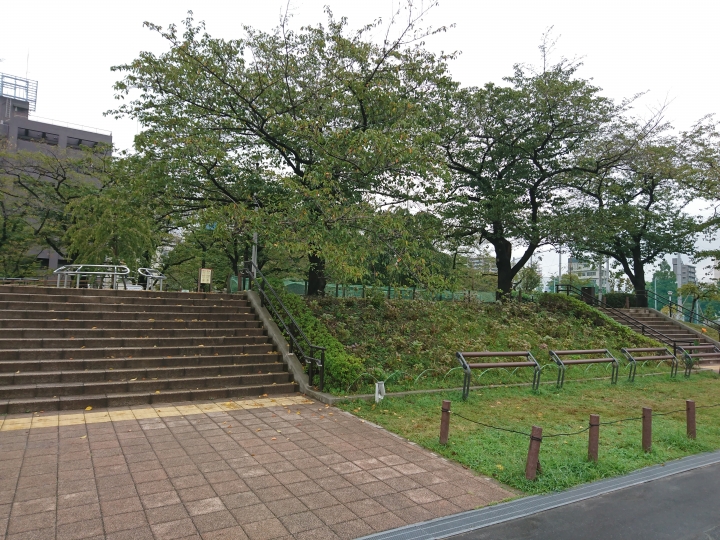 2017斷腿東京自由行第五日(禹田川公園 今取神社 淺草神社  上野動物園， 最終日回程)