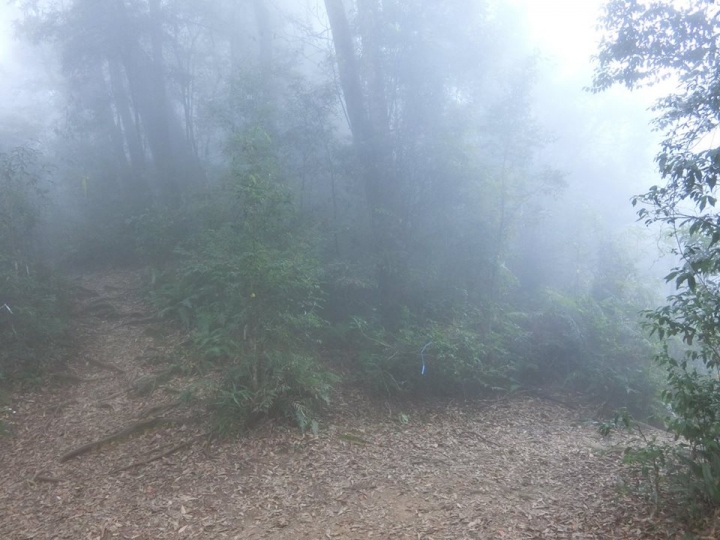 1061023 忘憂森林 金柑樹山 嶺頭山環線縱走
