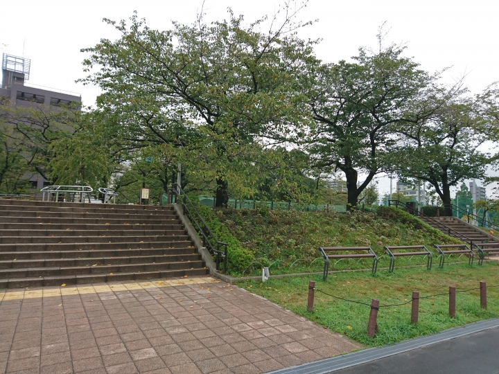 2017斷腿東京自由行第五日(禹田川公園 今取神社 淺草神社  上野動物園， 最終日回程)
