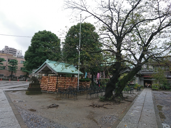 2017斷腿東京自由行第五日(禹田川公園 今取神社 淺草神社  上野動物園， 最終日回程)
