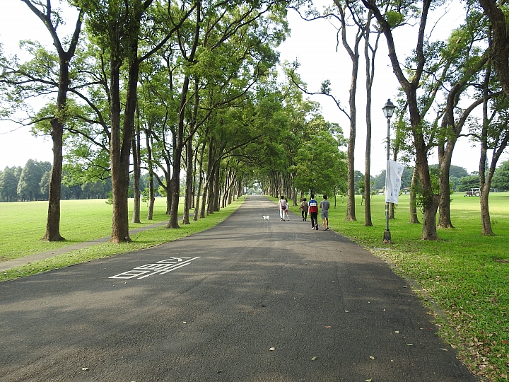 Nikon P900の路！