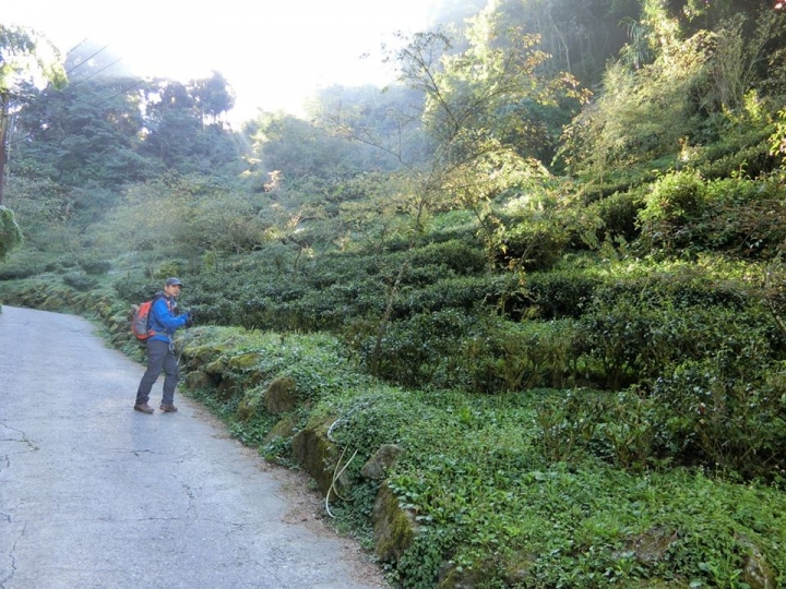 1061023 忘憂森林 金柑樹山 嶺頭山環線縱走