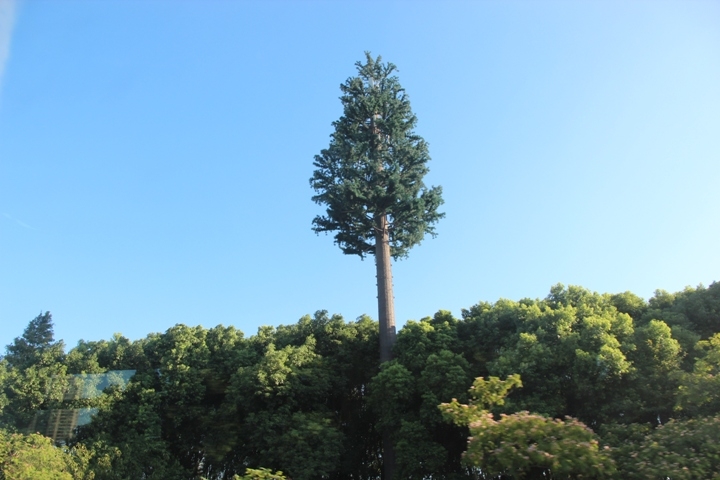 今 夏 江 南 夢 幻 煙 雨 五 日 遊
