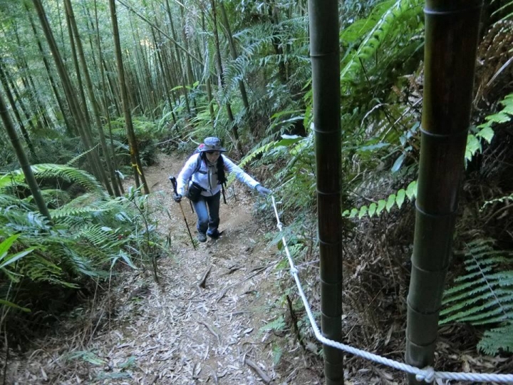 1061023 忘憂森林 金柑樹山 嶺頭山環線縱走