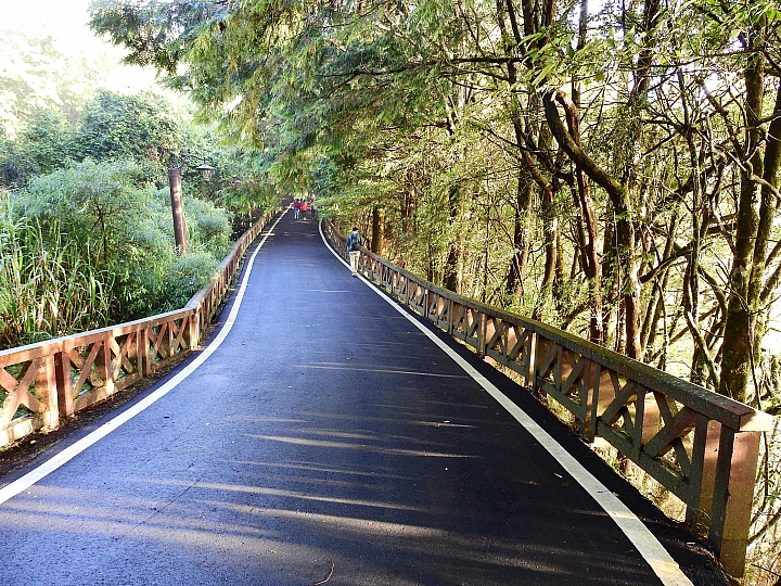 Nikon P900の路！