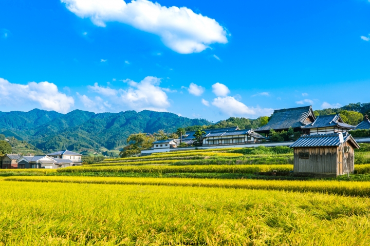 [分享] 與5D4享受7天的日本奈良京都大阪之旅 圖非常多 謝謝欣賞