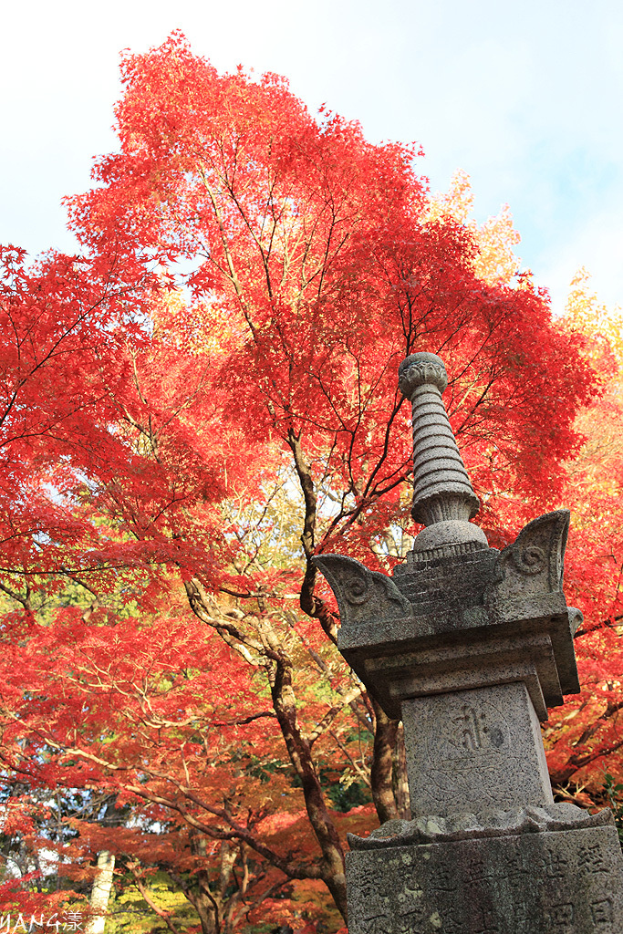【京都】真如堂（真正極楽寺），京都賞紅葉的免費好景點