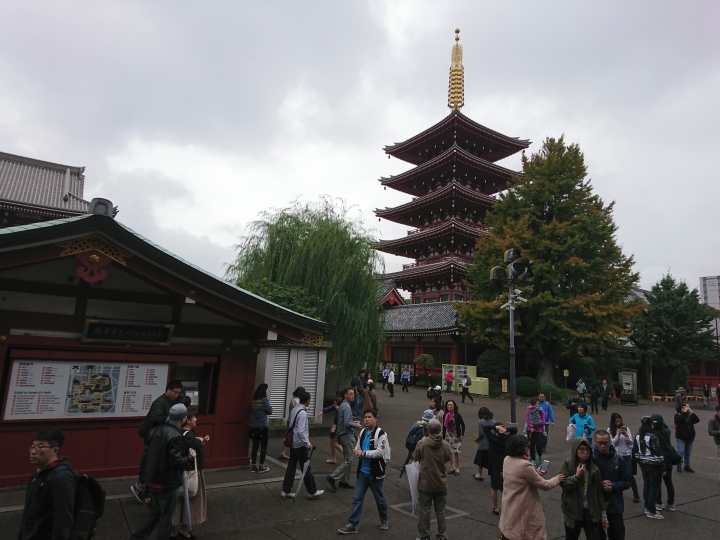 2017斷腿東京自由行第五日(禹田川公園 今取神社 淺草神社  上野動物園， 最終日回程)