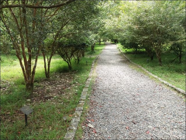 【宜蘭縣員山景點】免費需申請美景如畫的福山植物園