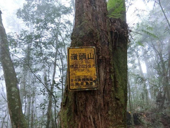 1061023 忘憂森林 金柑樹山 嶺頭山環線縱走
