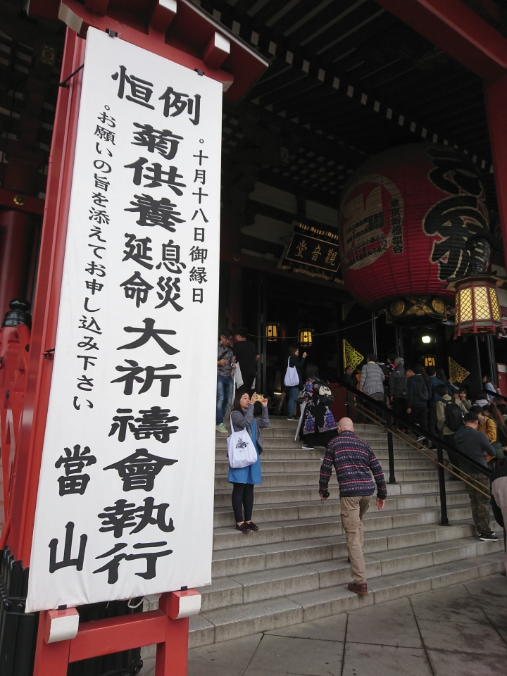 2017斷腿東京自由行第五日(禹田川公園 今取神社 淺草神社  上野動物園， 最終日回程)