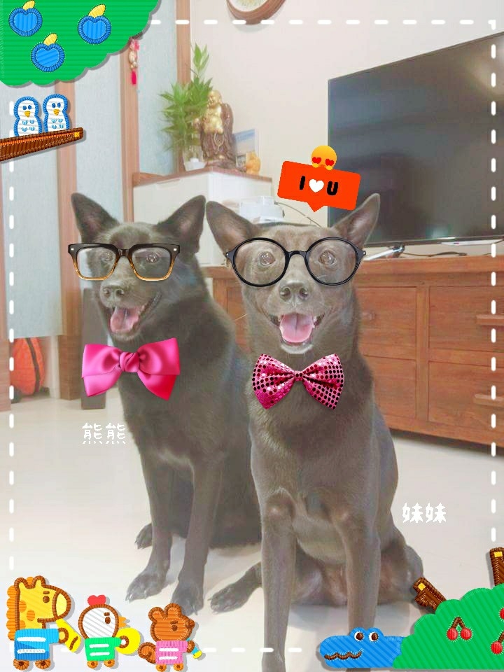 【測試】居家聰明小幫手/iRobot Roomba 960掃地機器人