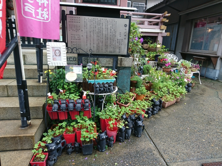 2017斷腿東京自由行第五日(禹田川公園 今取神社 淺草神社  上野動物園， 最終日回程)