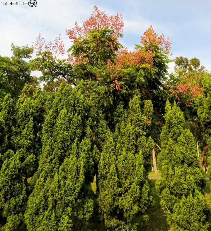 高雄國家體育場 高雄市左營區世運大道 9月30號