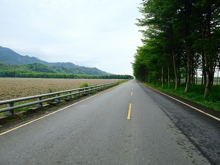Nikon P900の路！