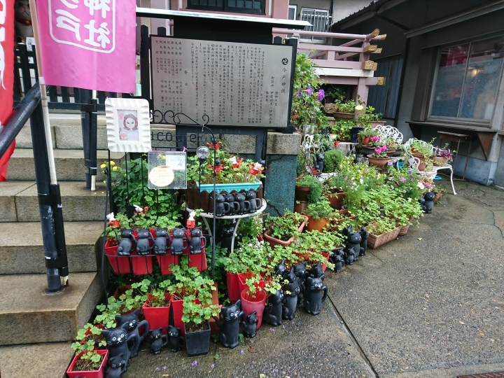 2017斷腿東京自由行第五日(禹田川公園 今取神社 淺草神社  上野動物園， 最終日回程)