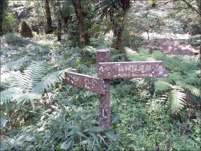 【宜蘭縣員山景點】免費需申請美景如畫的福山植物園