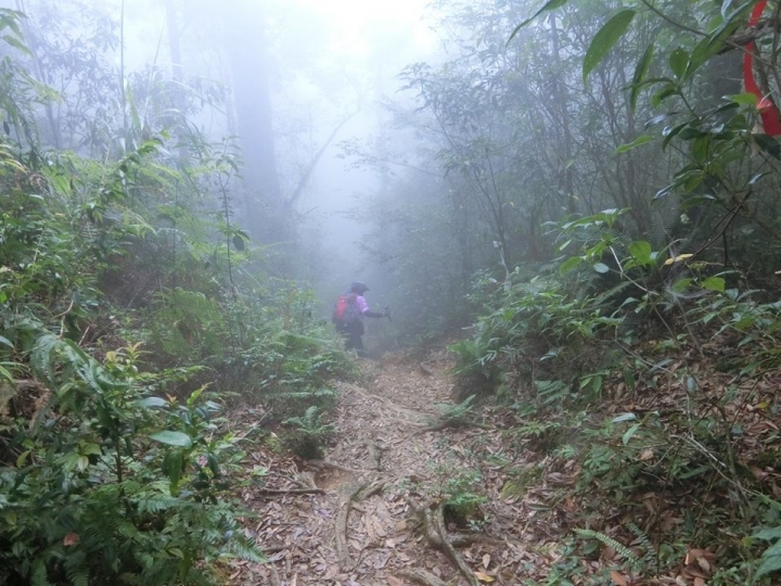 1061023 忘憂森林 金柑樹山 嶺頭山環線縱走