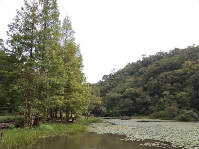 【宜蘭縣員山景點】免費需申請美景如畫的福山植物園