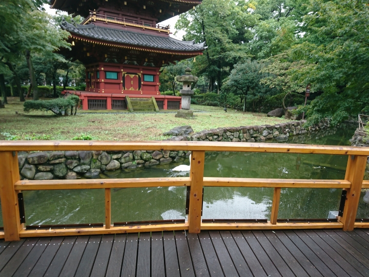 2017斷腿東京自由行第五日(禹田川公園 今取神社 淺草神社  上野動物園， 最終日回程)