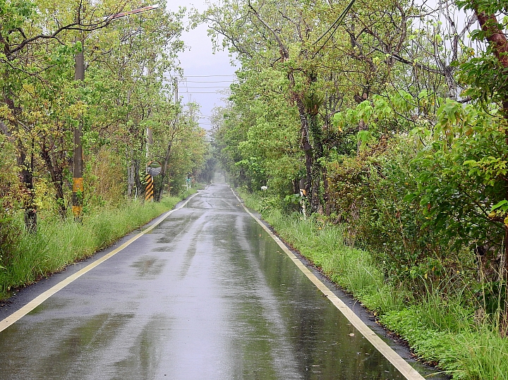 Nikon P900の路！