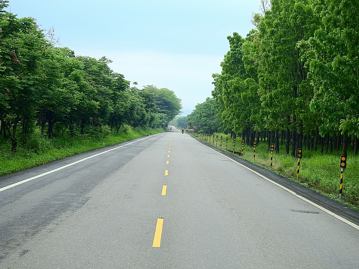 Nikon P900の路！
