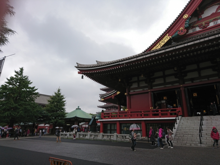 2017斷腿東京自由行第五日(禹田川公園 今取神社 淺草神社  上野動物園， 最終日回程)