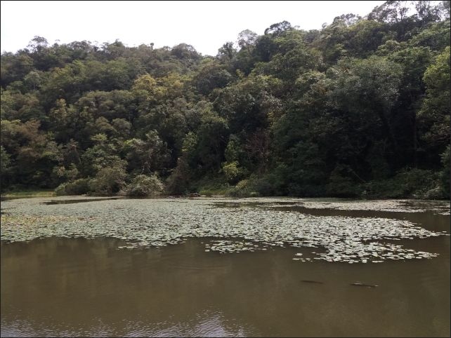 【宜蘭縣員山景點】免費需申請美景如畫的福山植物園