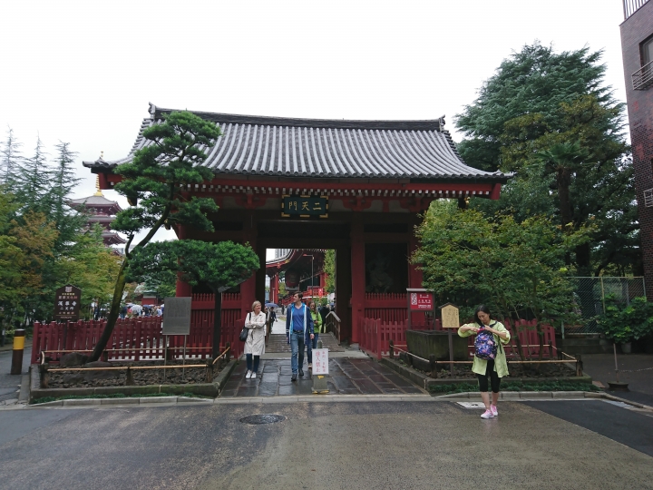 2017斷腿東京自由行第五日(禹田川公園 今取神社 淺草神社  上野動物園， 最終日回程)