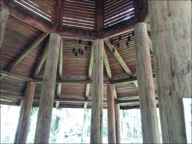 【宜蘭縣員山景點】免費需申請美景如畫的福山植物園