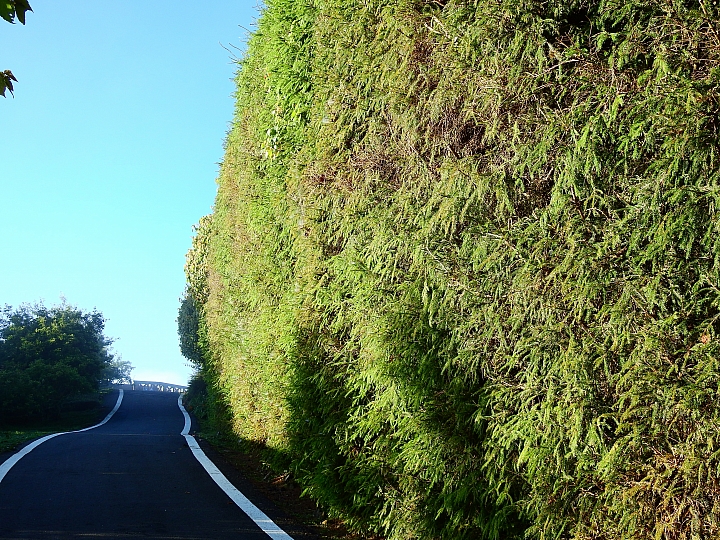 Nikon P900の路！