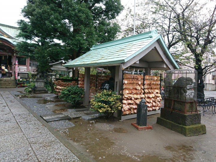 2017斷腿東京自由行第五日(禹田川公園 今取神社 淺草神社  上野動物園， 最終日回程)