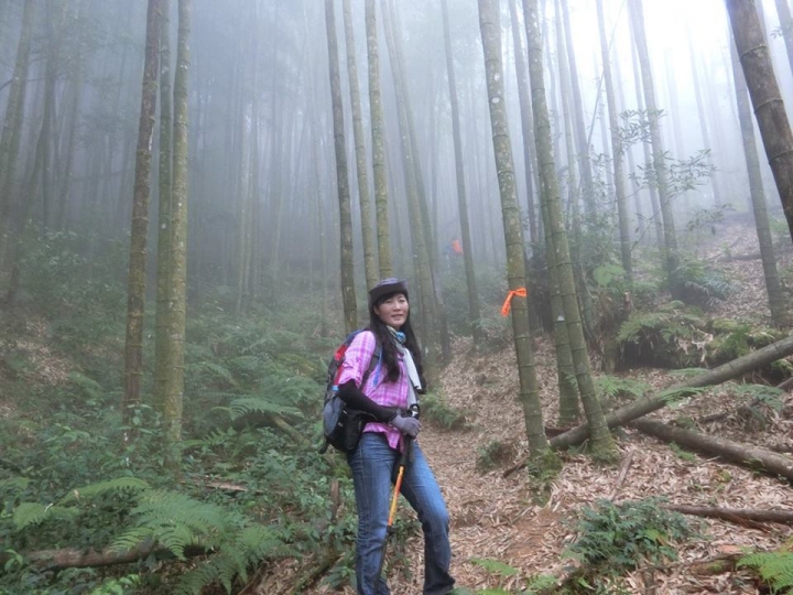 1061023 忘憂森林 金柑樹山 嶺頭山環線縱走