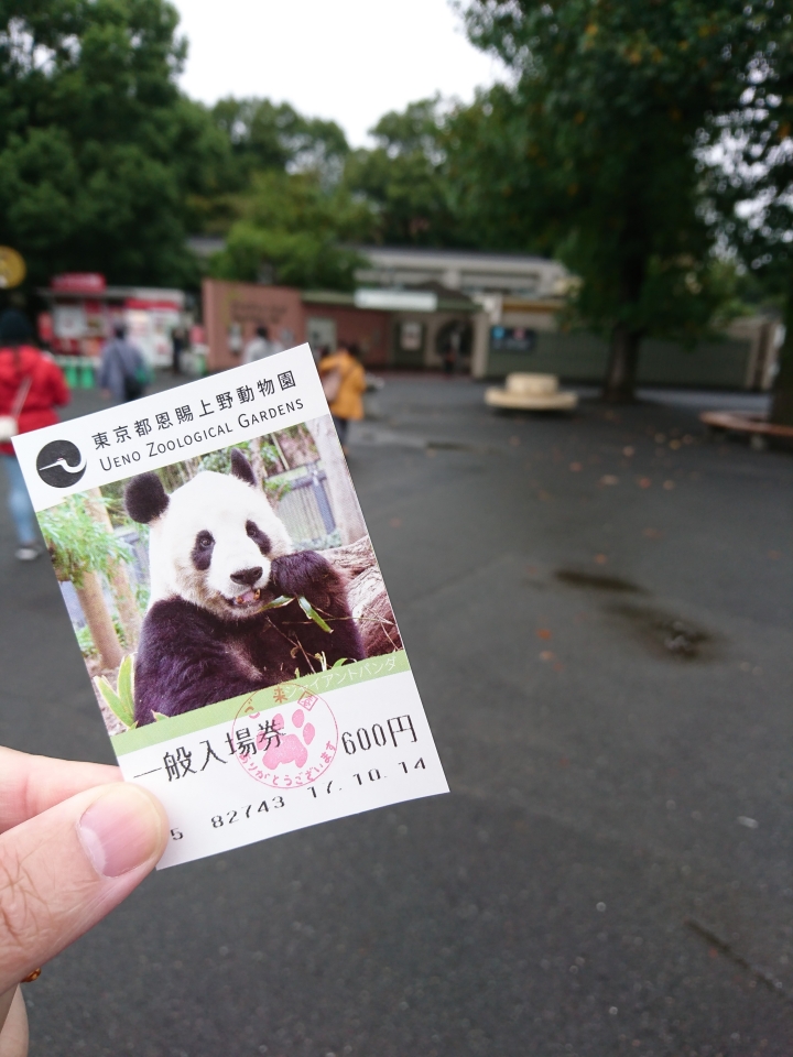 2017斷腿東京自由行第五日(禹田川公園 今取神社 淺草神社  上野動物園， 最終日回程)