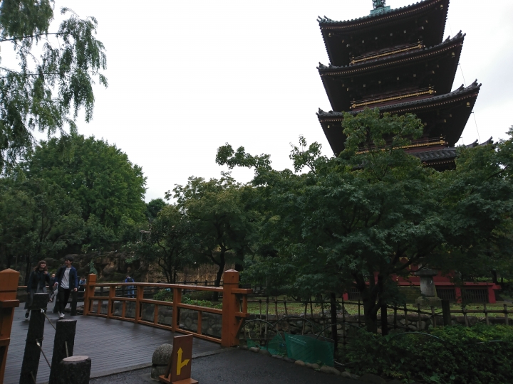 2017斷腿東京自由行第五日(禹田川公園 今取神社 淺草神社  上野動物園， 最終日回程)
