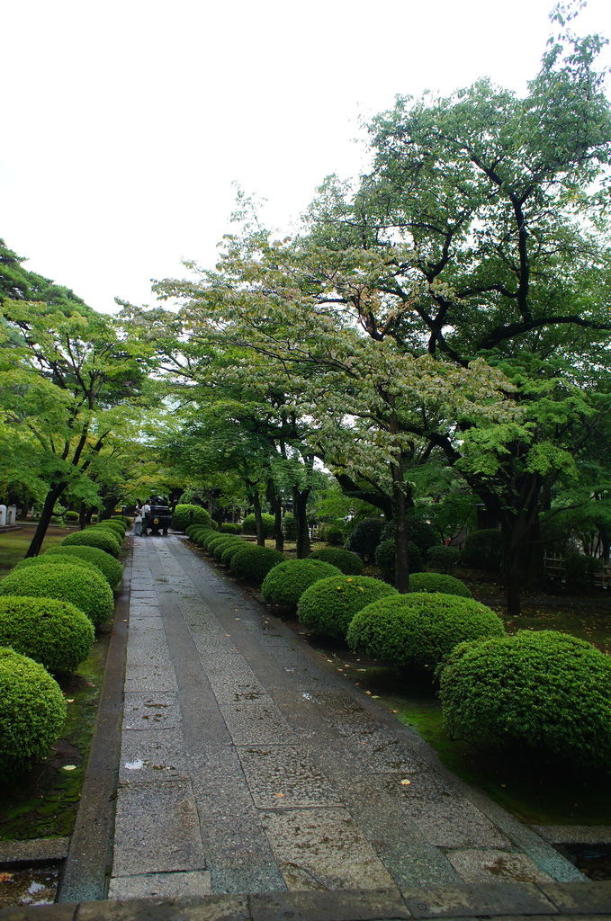 【玩】 日本 東京/世田谷 豪徳寺 - 招財貓起源地