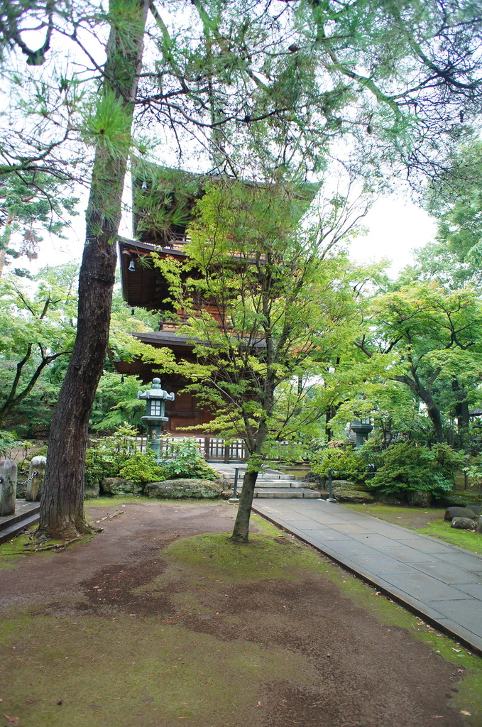 【玩】 日本 東京/世田谷 豪徳寺 - 招財貓起源地