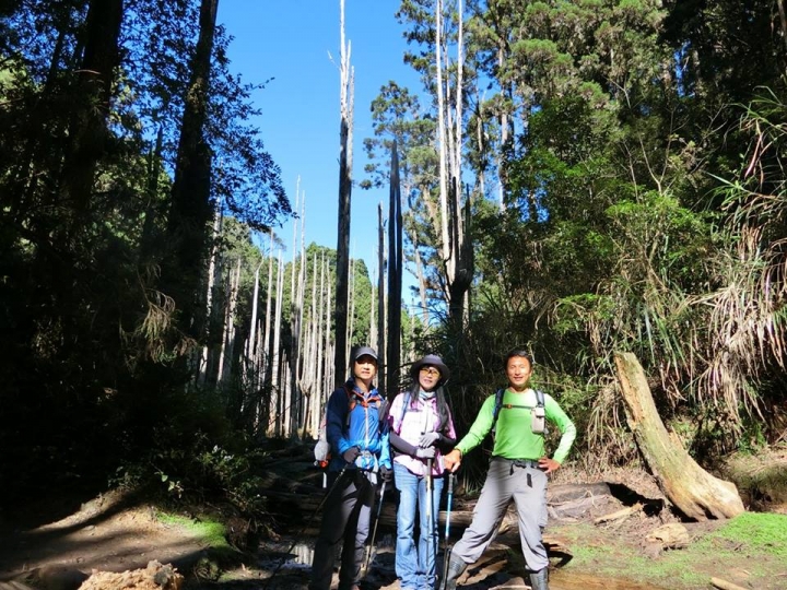 1061023 忘憂森林 金柑樹山 嶺頭山環線縱走