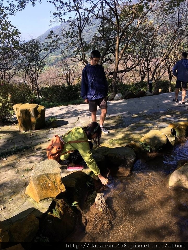 陽明山親子遊:硫磺谷/花鐘/涓絲瀑布