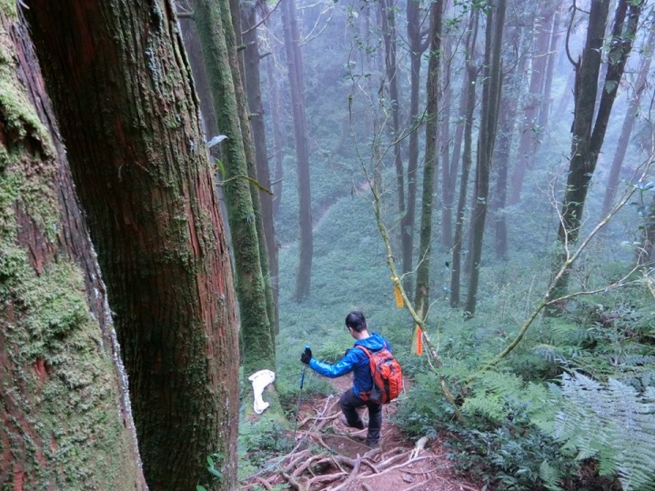 1061023 忘憂森林 金柑樹山 嶺頭山環線縱走