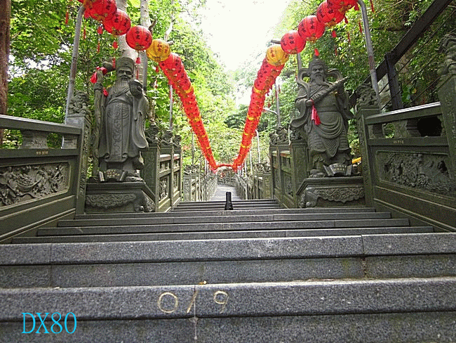 太陽的後裔 DX80 ( 32000流明 )