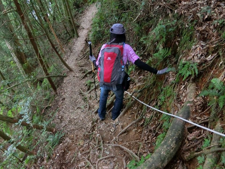 1061023 忘憂森林 金柑樹山 嶺頭山環線縱走