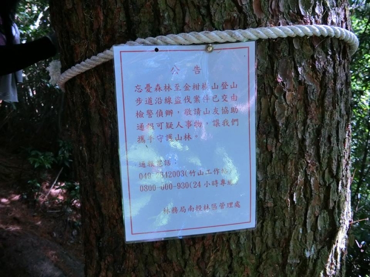 1061023 忘憂森林 金柑樹山 嶺頭山環線縱走