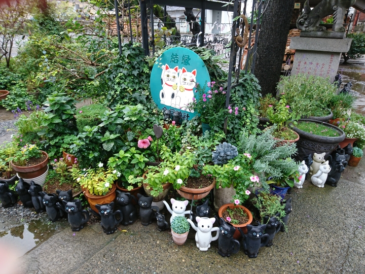 2017斷腿東京自由行第五日(禹田川公園 今取神社 淺草神社  上野動物園， 最終日回程)