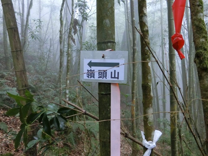 1061023 忘憂森林 金柑樹山 嶺頭山環線縱走