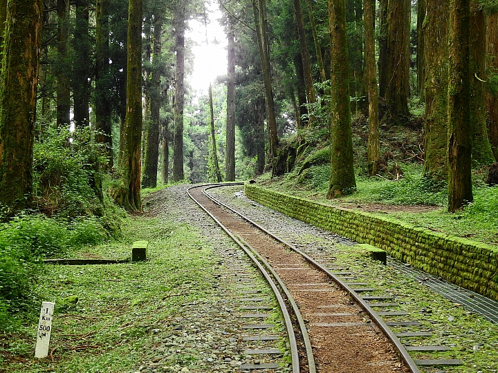 Nikon P900の路！