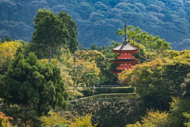 [分享] 與5D4享受7天的日本奈良京都大阪之旅 圖非常多 謝謝欣賞